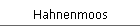 Hahnenmoos