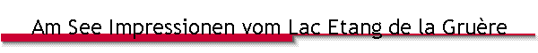 Am See Impressionen vom Lac Etang de la Gru�re