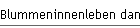 Blummeninnenleben danke dem "scharfen" Auge