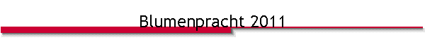 Blumenpracht 2011