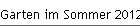 Garten im Sommer 2012