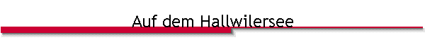 Auf dem Hallwilersee
