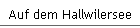 Auf dem Hallwilersee