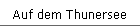 Auf dem Thunersee