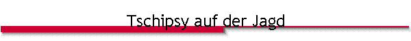 Tschipsy auf der Jagd