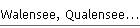 Walensee, Qualensee... nein Sch�nersee!!!