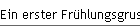 Ein erster Fr�hlungsgruss