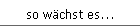so w�chst es...