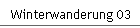 Winterwanderung 03