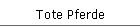 Tote Pferde